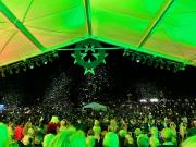 Carols Cherry view 3